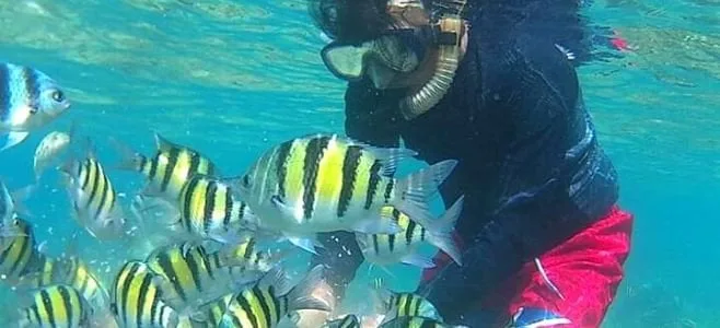 Spot Snorkeling Wisata Pulau Pari Kepulauan Seribu @dinowisatacom